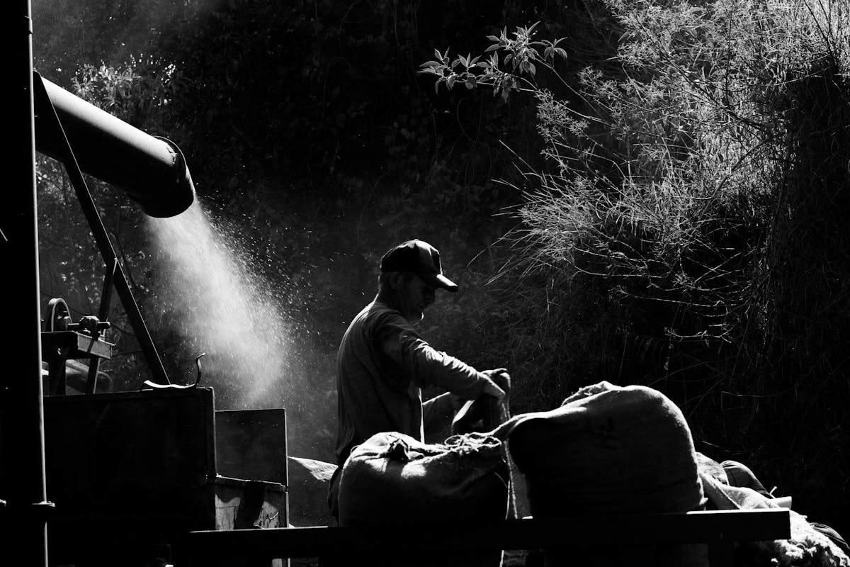 Worker processing coffee at origin